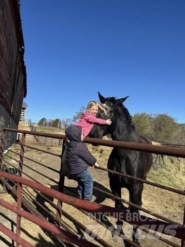  Percheron Team Sonstige Baumaschinen