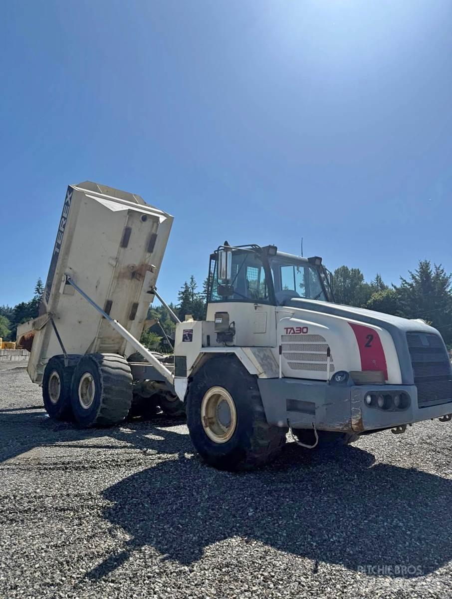 Terex TA30 Lieferwagen