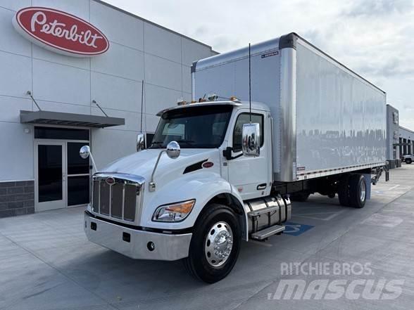 Peterbilt 536 Kofferaufbau