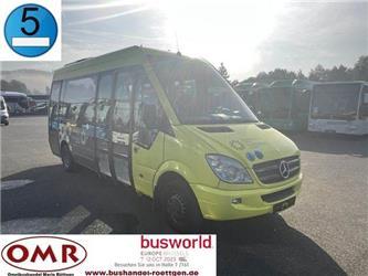Mercedes-Benz Sprinter City 65/ City 35/ 516 CDI