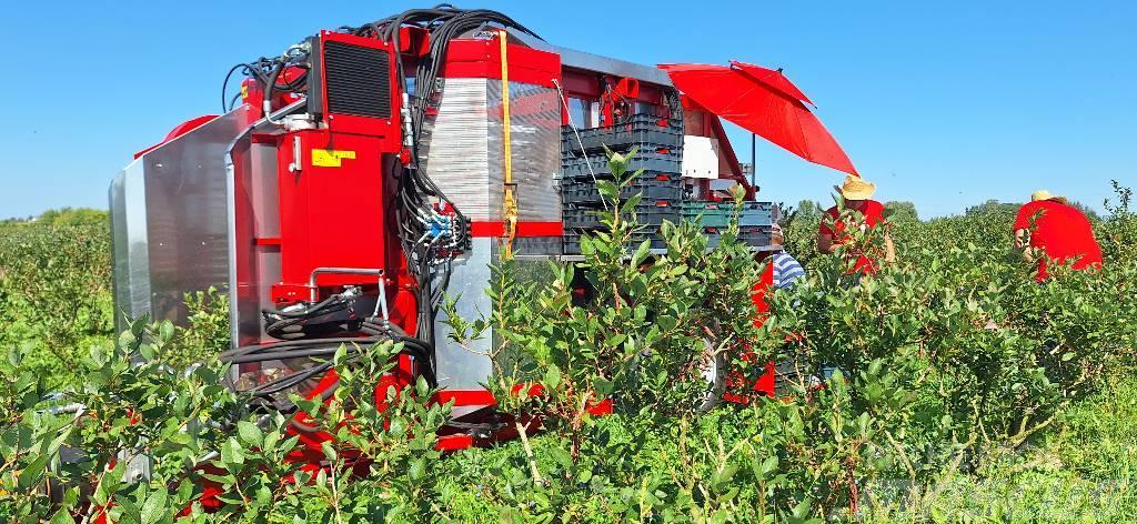Weremczuk Kombajn do malin KAREN | Raspberry harvester Traubenvollernter