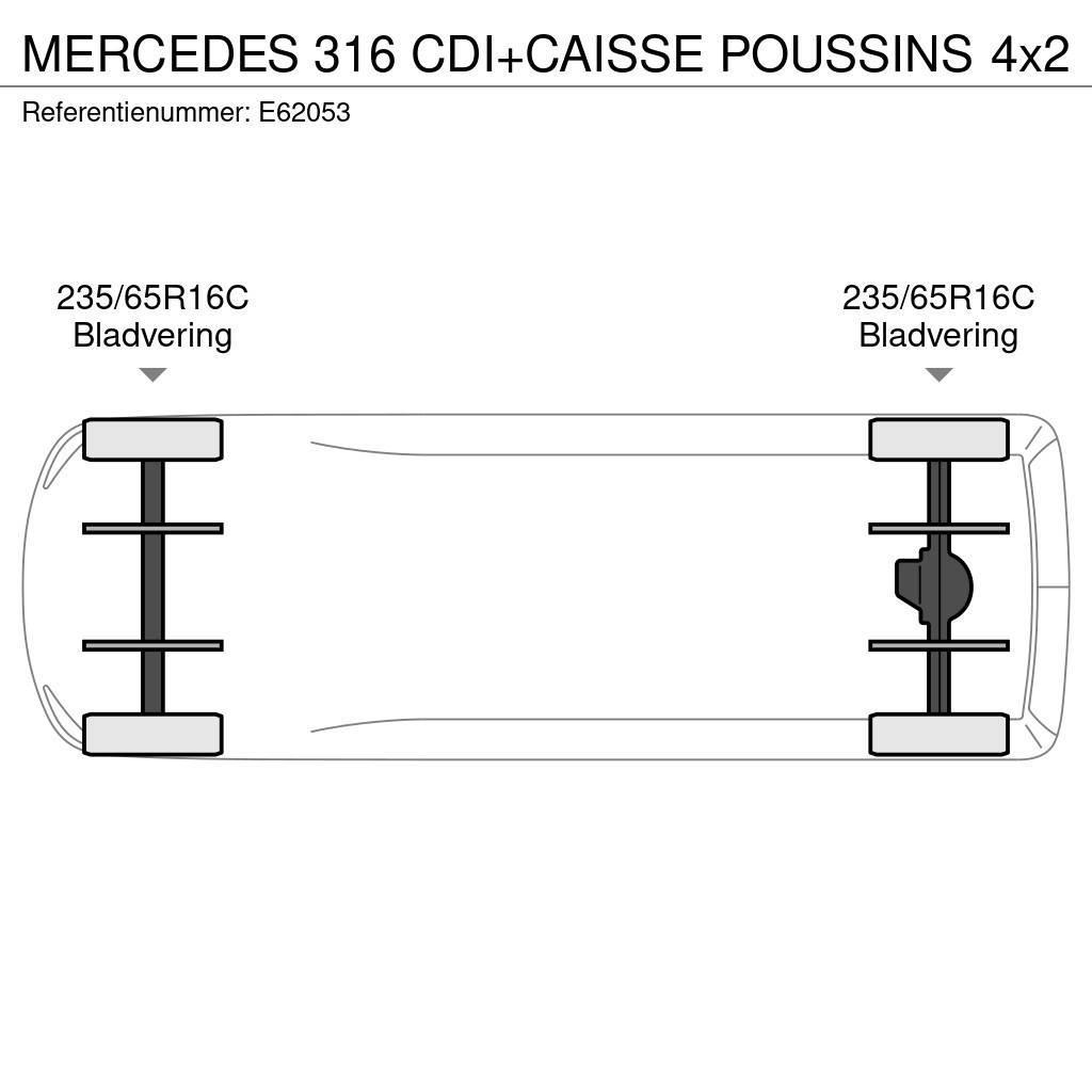 Mercedes-Benz 316 CDI+CAISSE POUSSINS Kühltransporter