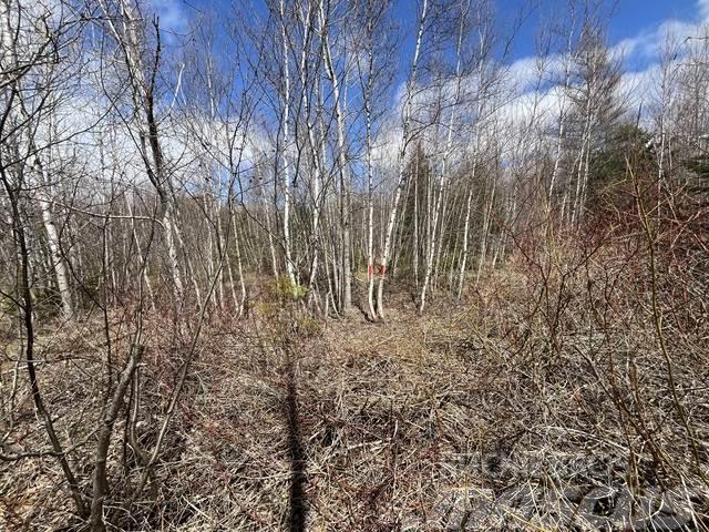  Miramichi NB 8.2+/- Title Acres Commercial Prop Andere