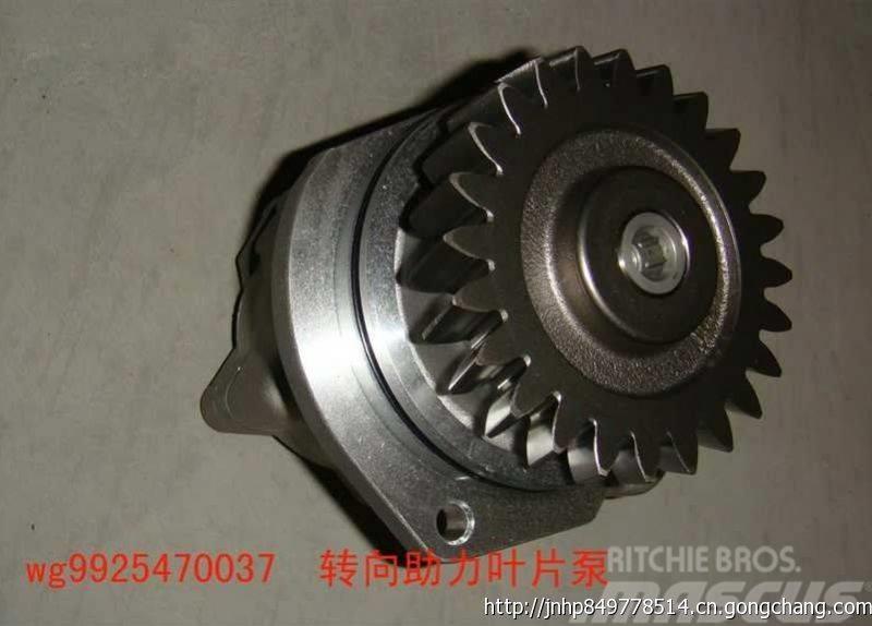  zhongqi WG9925470037 Motoren