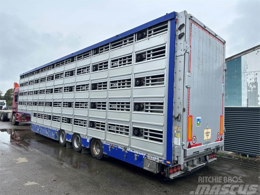 Pezzaioli 5-stock Grise trailer 5-stock Viehtransportauflieger