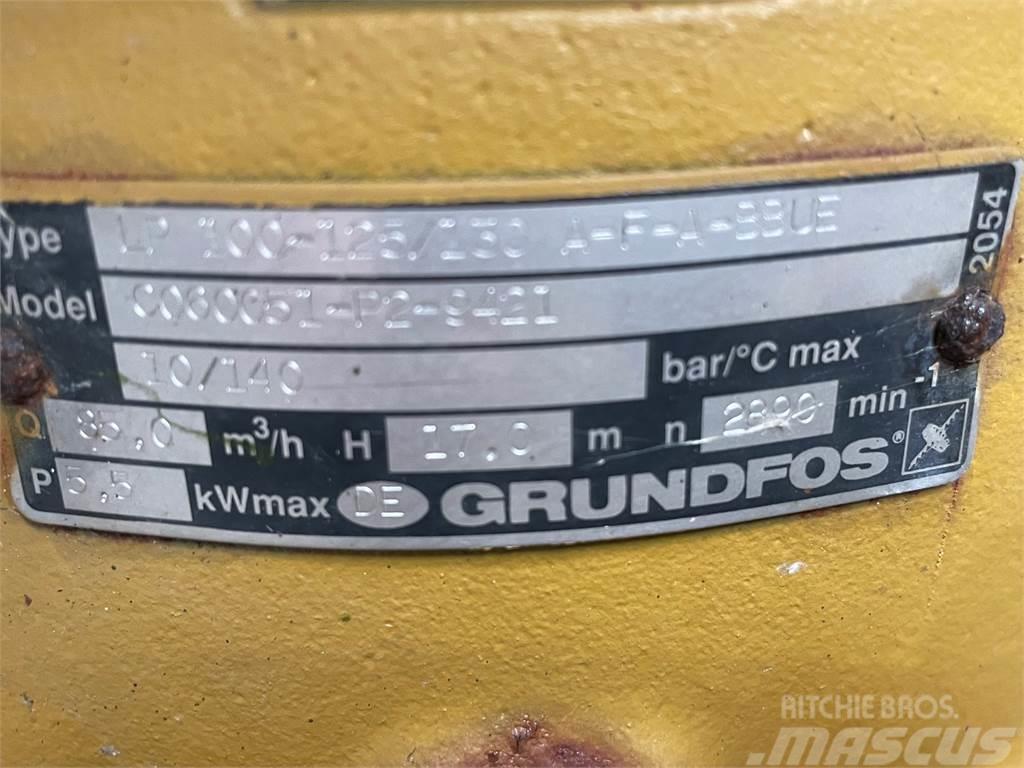 Grundfos type LP 100-125/130 A-F-A-BBUE pumpe Wasserpumpen